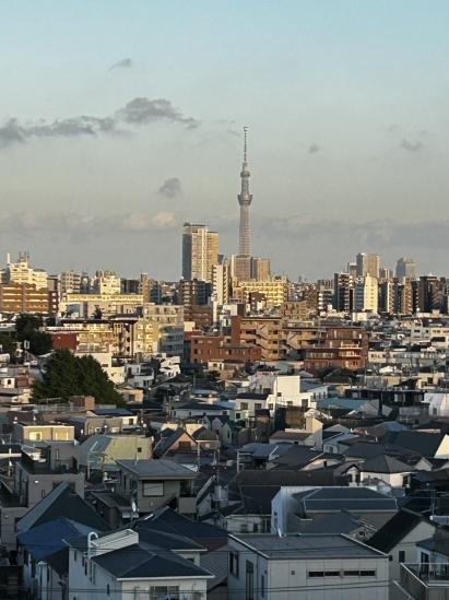 ライオンズマンション西巣鴨-0-眺望
