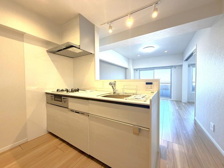 グリーンビレッジ豊玉-15-キッチン