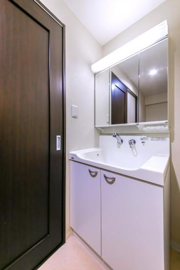 第２桜台ファミリーマンション　S棟-8-洗面