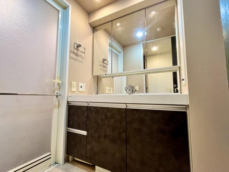 アトレ浮間舟渡ローレルコート-12-洗面