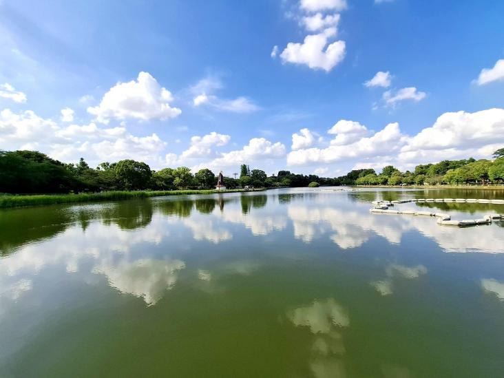 藤和シティホームズ浮間公園-40-公園