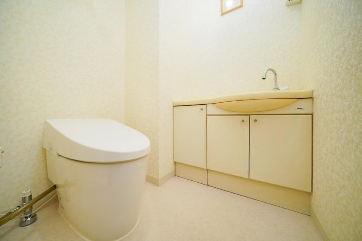 藤和富士見台ホームズ-10-トイレ