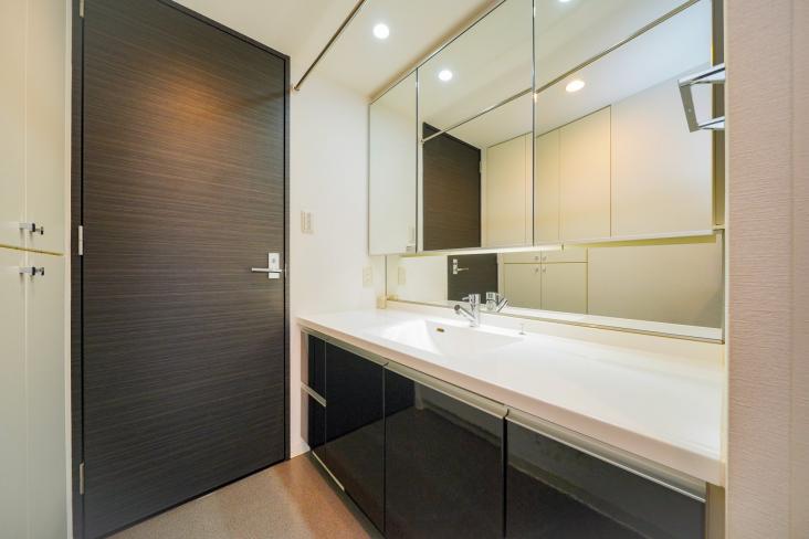 常盤台ガーデンソサエティ-21-洗面