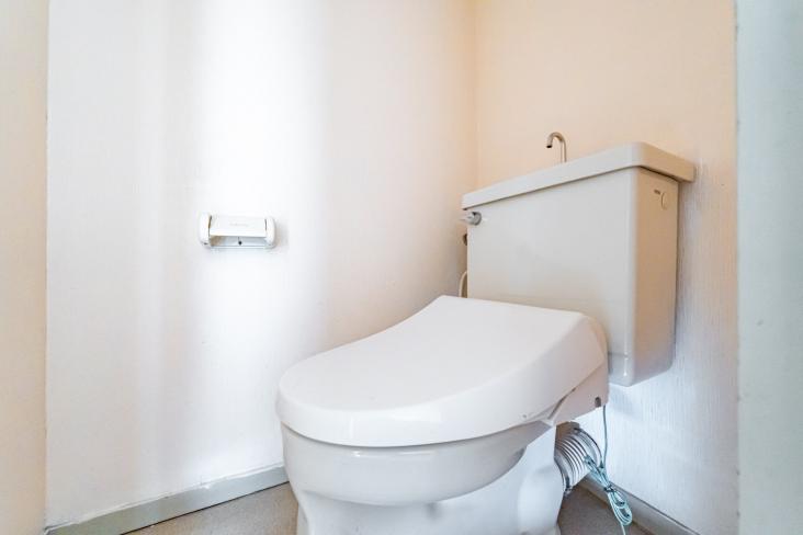 ライオンズマンション石神井公園-19-トイレ