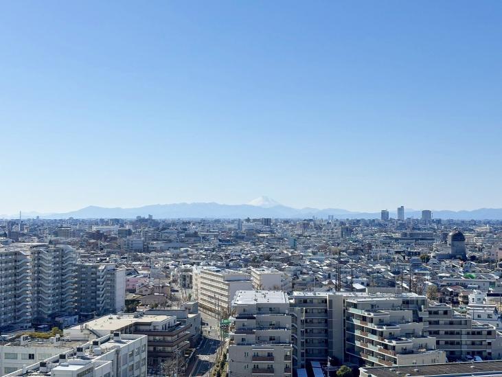 大山パークハウス　スタイリッシュタワー-3-眺望