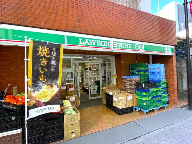 大山パークハウス　スタイリッシュタワー-12-コンビニ