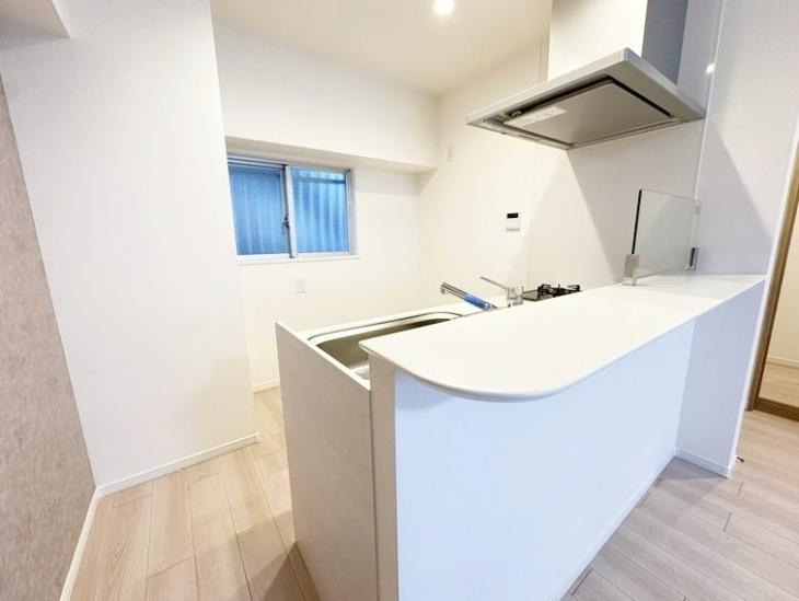 ライオンズマンション練馬-2-キッチン