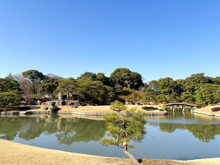 トーア駒込マンション-29-その他