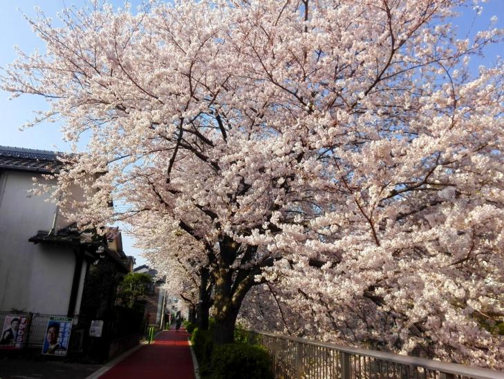 ソレーユメゾン石神井-28-周辺の街並み