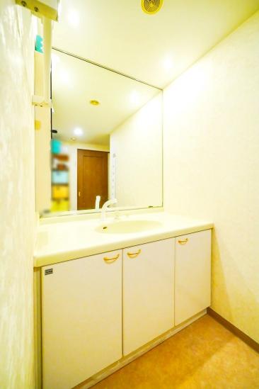 レクセルヒルズ和光-7-洗面