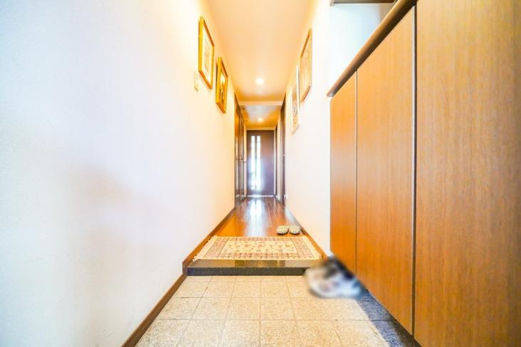 レクセルヒルズ和光-12-玄関