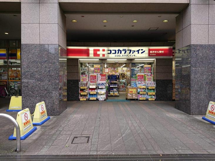 ハイマート西池袋-14-ドラッグストア