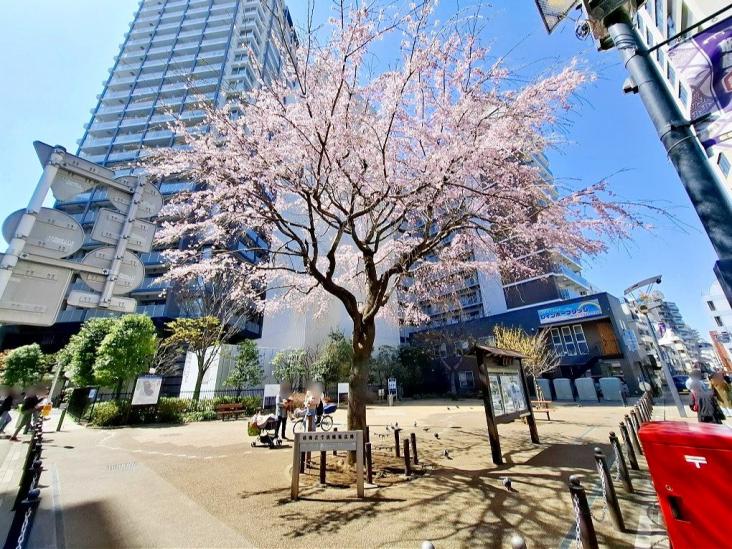 ドミールセブン-10-公園