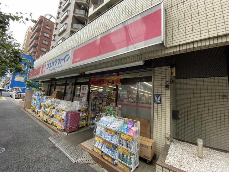 光建ハイムブリリアンス上池袋-9-ドラッグストア