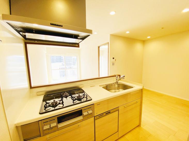 西赤羽グリーンハイツ-13-キッチン