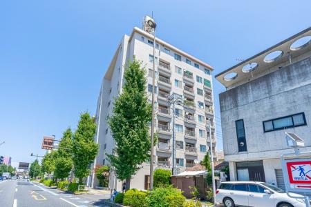 グリーンハイツはすね