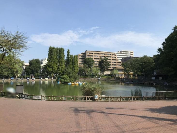 ローズハイツ小豆沢-21-公園