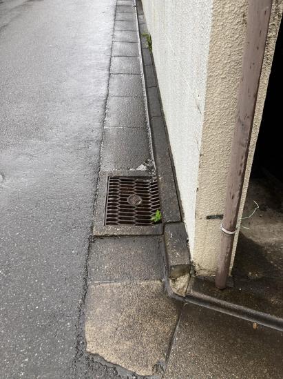 板橋区赤塚四丁目土地-2-その他現地