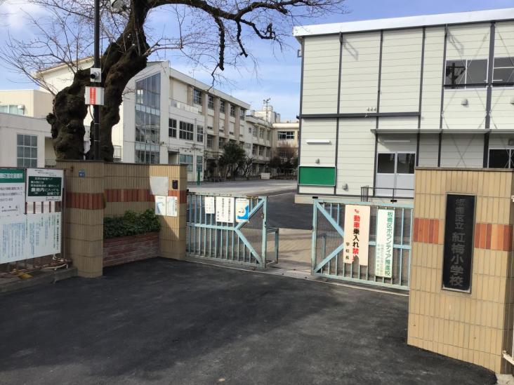 レクセルマンション赤塚公園-19-小学校