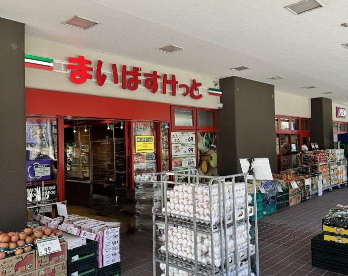 コスモ西大島グランステージ-21-スーパー