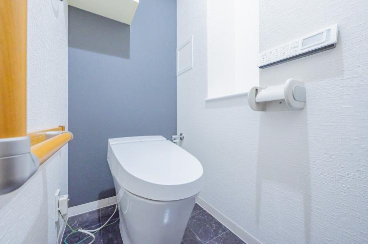 ナイスグランソレイユ東陽町-70-トイレ