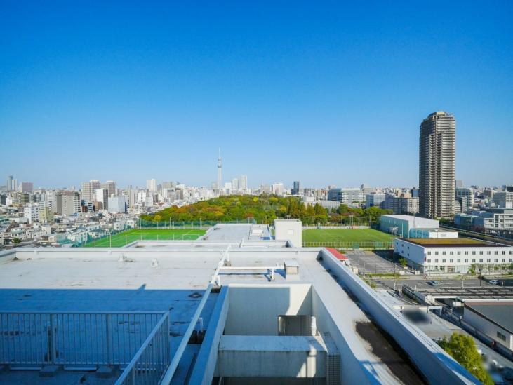 ダイアパレス猿江恩賜公園-5-眺望