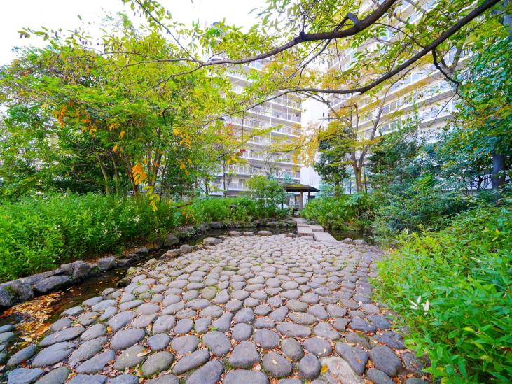 ダイアパレス猿江恩賜公園-18-その他現地