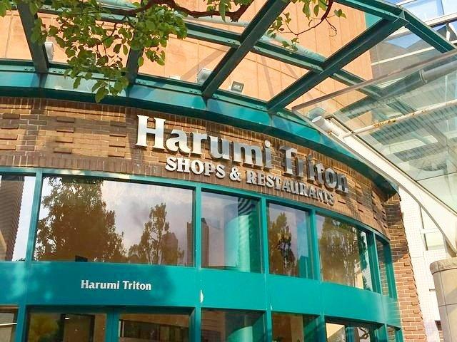 ムーンアイランドタワー-44-ショッピング施設