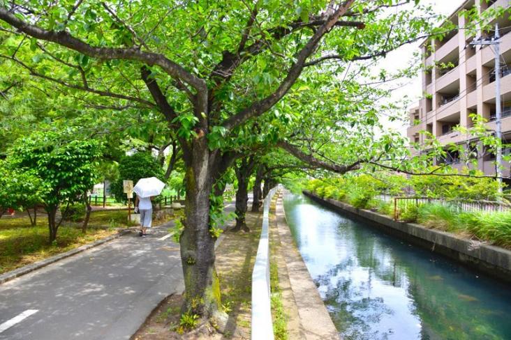 南砂四丁目住宅-28-公園