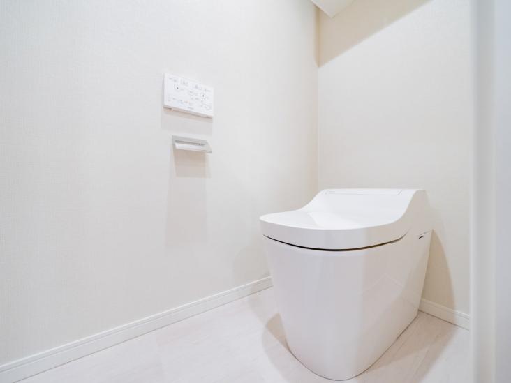 シティタワーズ豊洲ザ・ツイン　サウスタワー-9-トイレ