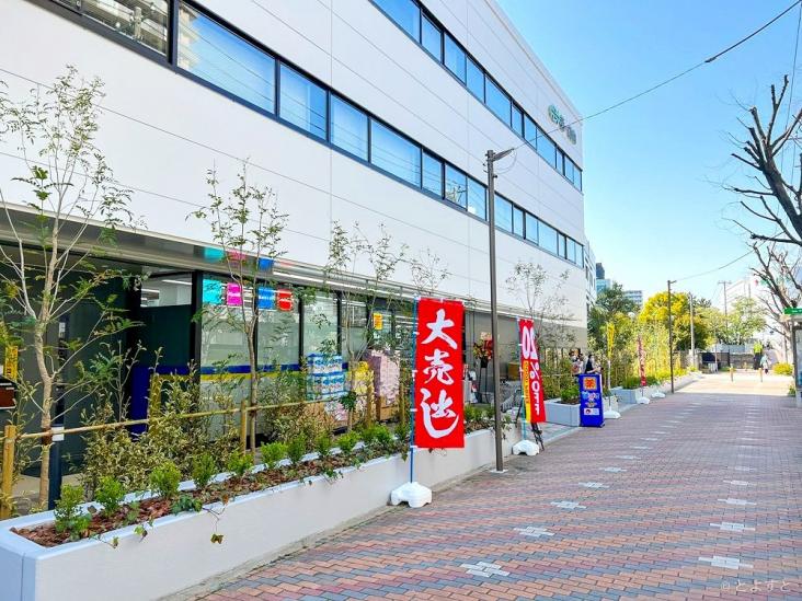 シティタワーズ豊洲ザ・ツイン　サウスタワー-19-ドラッグストア