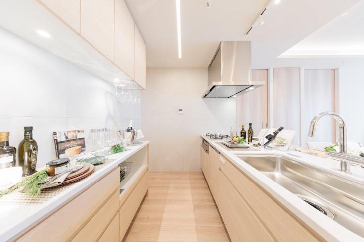 Ｂｒｉｌｌｉａ　ＴＨＥ　ＴＯＷＥＲ　ＴＯＫＹＯ　ＹＡＥＳＵ　ＡＶＥＮＵＥ-11-キッチン