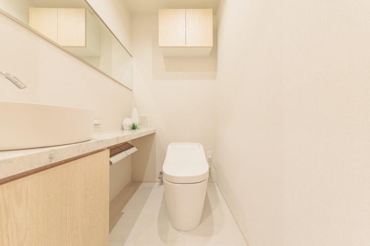 Ｂｒｉｌｌｉａ　ＴＨＥ　ＴＯＷＥＲ　ＴＯＫＹＯ　ＹＡＥＳＵ　ＡＶＥＮＵＥ-15-トイレ