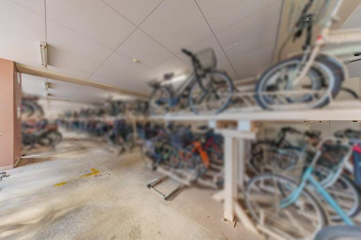 ライオンズタワー大島-25-共有部分