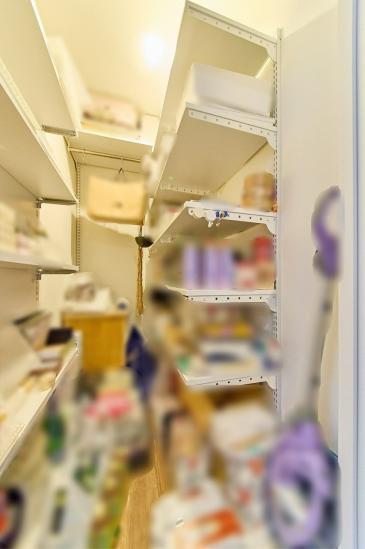 パークタワー勝どきサウス-18-収納