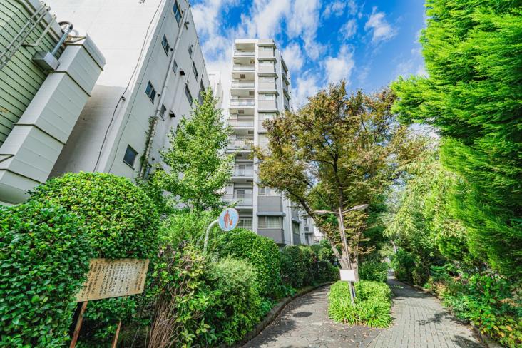 デュオ・スカーラ大島-2-外観