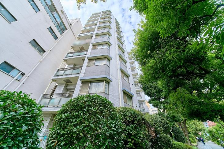 デュオ・スカーラ大島-22-外観