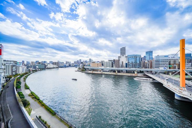 ナイスアーバン新大橋隅田川ステージ-4-眺望