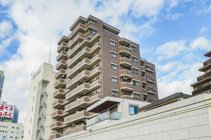 ナイスアーバン新大橋隅田川ステージ-6-外観