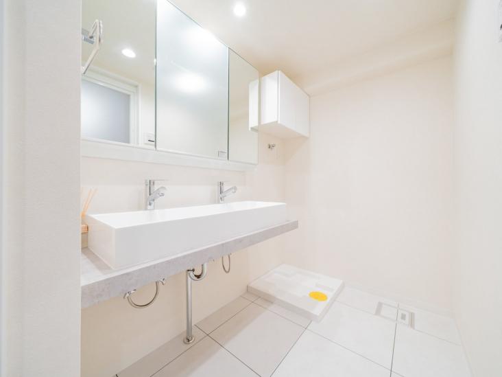 なぎさニュータウン 5号棟-12-洗面