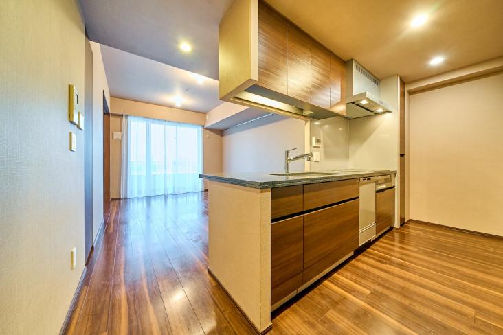 Brillia有明Sky Tower-15-キッチン