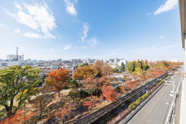 ハイラーク大島-12-眺望