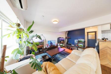 ハイラーク大島