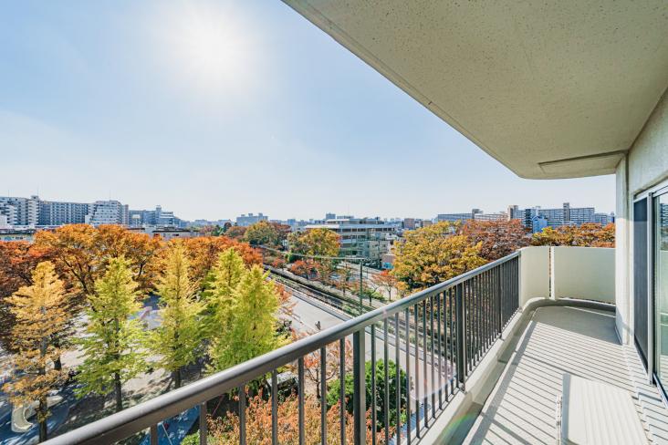 大島スカイハイツ-6-バルコニー