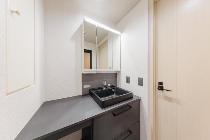 アスコットパーク両国-7-洗面