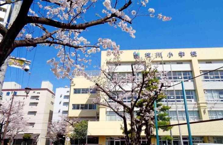 木場ハイツ-23-小学校