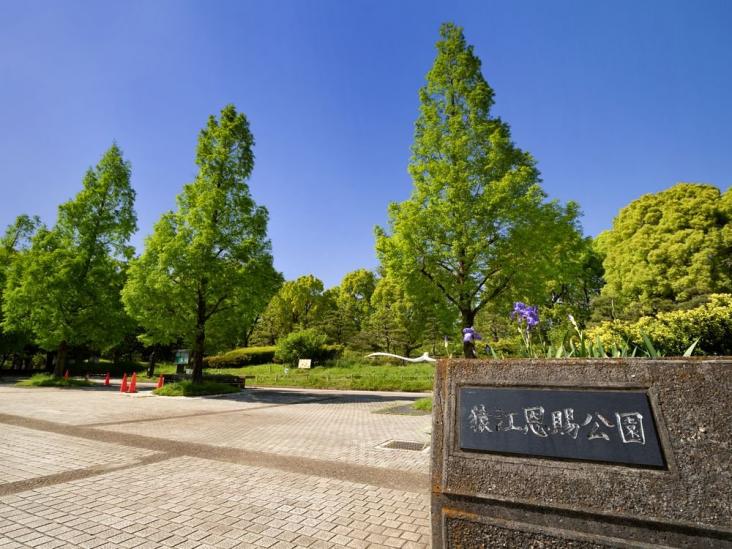 大島ファミール恩賜公園-29-公園