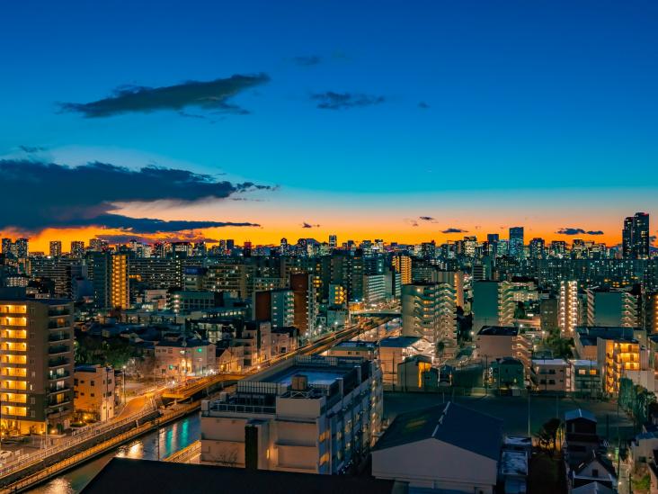 ライオンズタワー大島-5-眺望