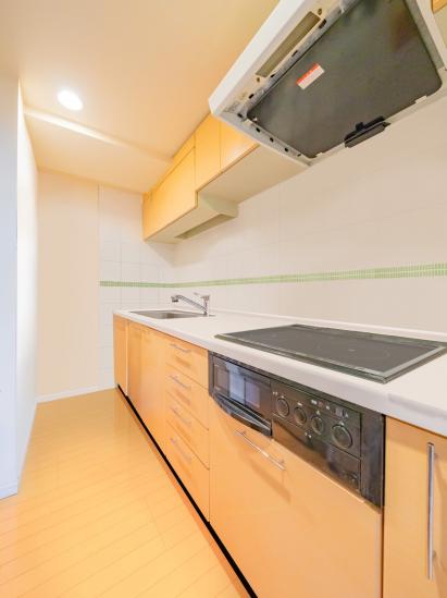 ライオンズタワー大島-12-その他