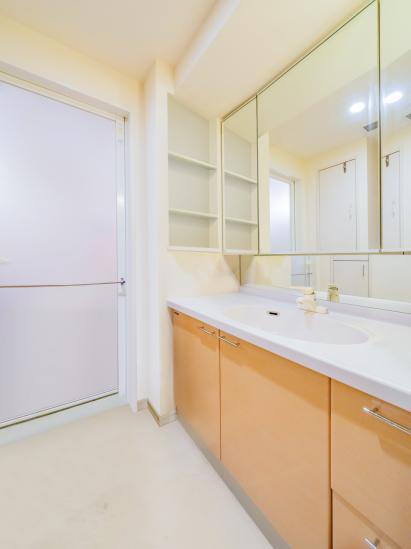 ライオンズタワー大島-13-その他